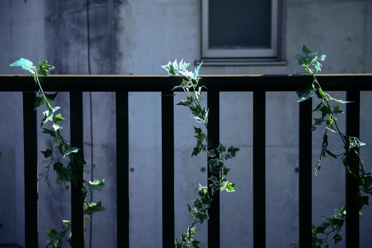 色絵古都 Iroekoto Kyōto Esterno foto