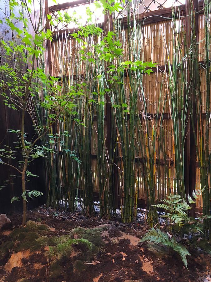 色絵古都 Iroekoto Kyōto Esterno foto